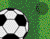 Soccer Ball And Green Field