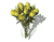 flores de color amarillo en flor 02