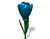 פרח סגול 01