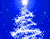 Star In Blue Tree