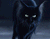 Старый Черный кот