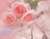 ดอกกุหลาบสีชมพูและคิตตี้