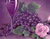 Rrushi Purple