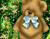 Sad Teddy Bear 01