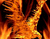Flaming Aquila