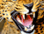 Wild Tiger 03