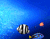 Blue Akuarium