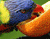 Kolorowy papuga