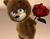 گل رز قرمز و خرس عروسکی