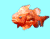 balık