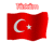 bayrak türk