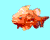 03 ψάρια