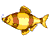 črtasto ribe