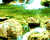 зелен водопад