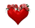jantung mawar