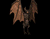 tunge flying bat