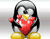 Penguin Tình yêu