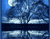 ضوء القمر على البحيرة مع شجرة