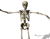 Dancing Skeleton 02