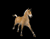 Beh Horse