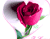 Of Love Rose