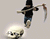 Fleeing Skull