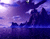 Purple pilvisus