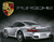 Porsche Gray