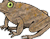 Piccolo Frog