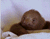 Dziecko Sloth