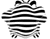 Zebra Mønstre