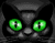Црна мачка са зеленим очима