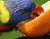 Orange Eating Parrot