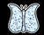 Bright Blue Butterfly armas