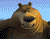 Dễ thương Big Bear