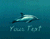 Your Text Floating Dolphins