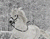 Білий кінь Запуск N сніг