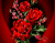 El rojo brillante Roses