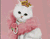 Księżniczka biały kot