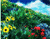 Colorful Flowers And Forests