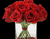 گلدان و گل رز قرمز