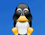 Cute Penguin Nowy