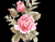 Яркие розовые розы