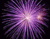Фиолетовый Фейерверк