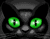 Hijau Eyed Cat 01