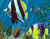 Барвистий акваріум 01