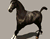 Noble cal negru 01