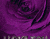 Purple Upendo Na Roses