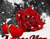Sne og Red Roses 01