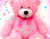 Χαριτωμένο ροζ αρκουδάκι